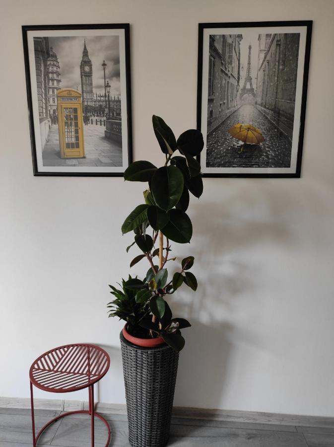Cozy Studio Cik-Cak Doboj Eksteriør billede